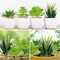 Fake Succulent Plants, 6pcs Mini Green Succulent Plants Faux, Artificial Succulents Plants for DIY Crafting Home Floral Wall Office Decoration (excluding pots)